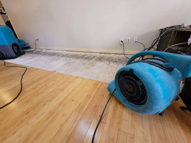 Professional Sewage Cleanup technician working in Miamisburg, OH